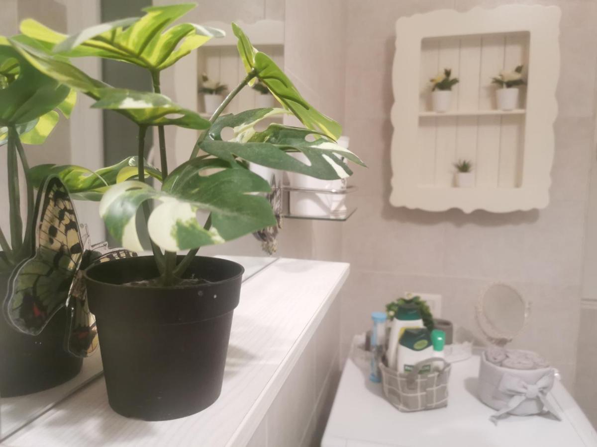 Domus Flavi Lägenhet Rom Exteriör bild